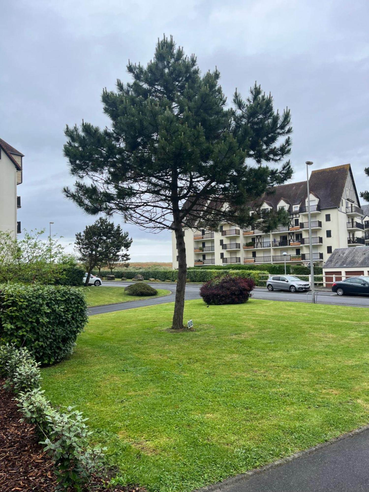 La Parenthese Cabourgeaise Apartman Kültér fotó